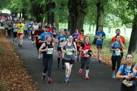 Marathon runners running through a park Marathon runners running through a park