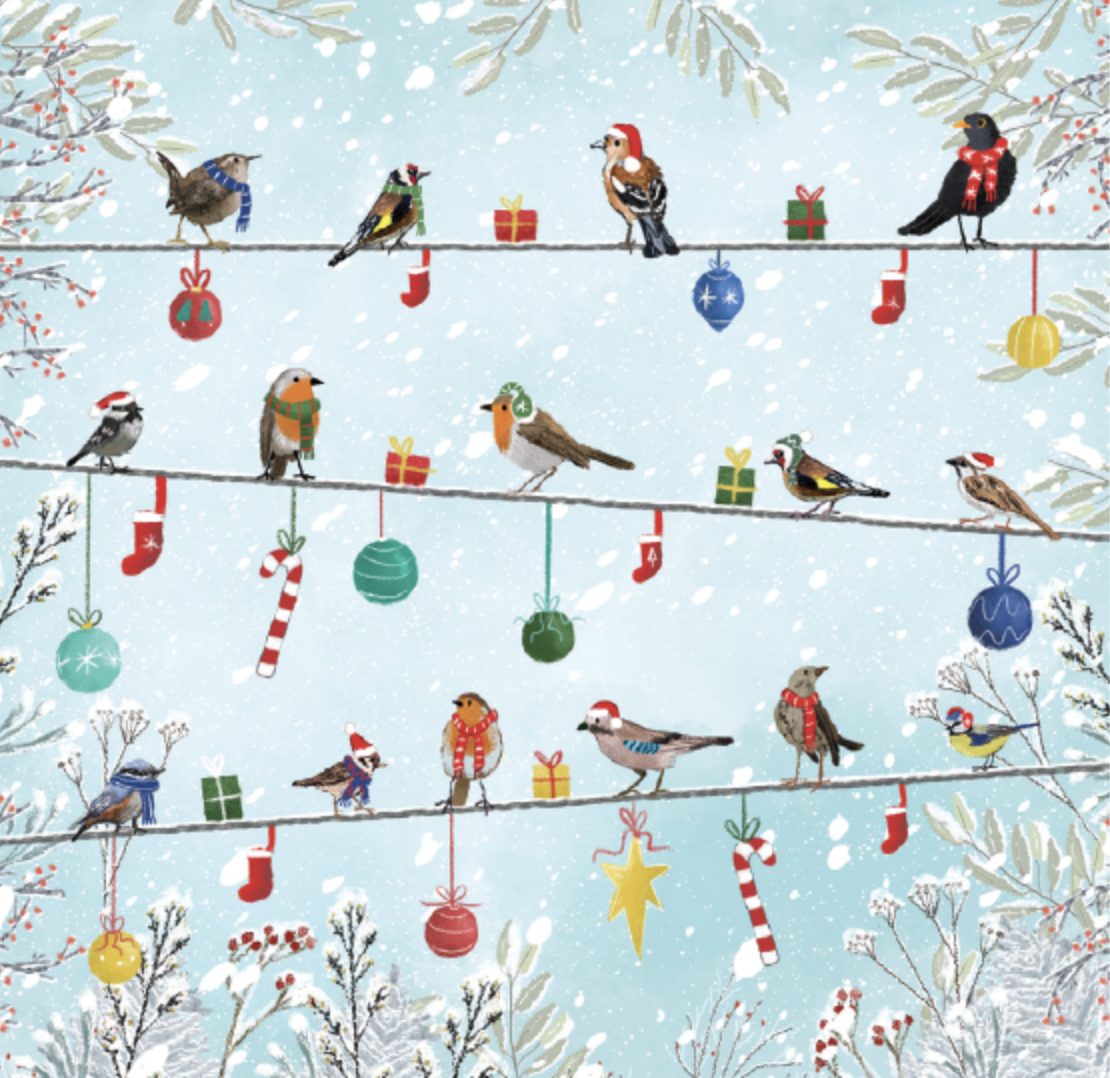 Robins and baubles on wires