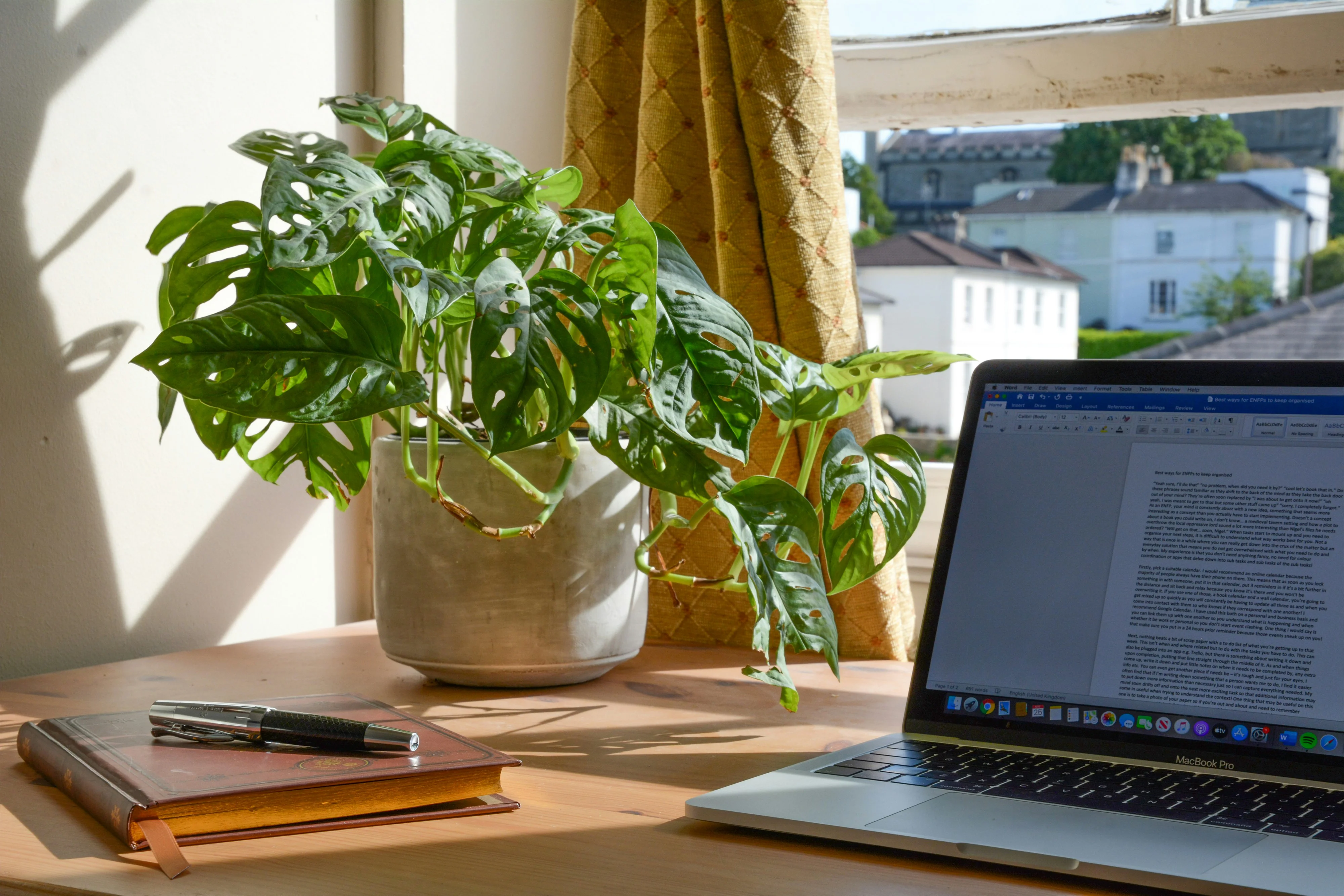 Laptop and plant by a window