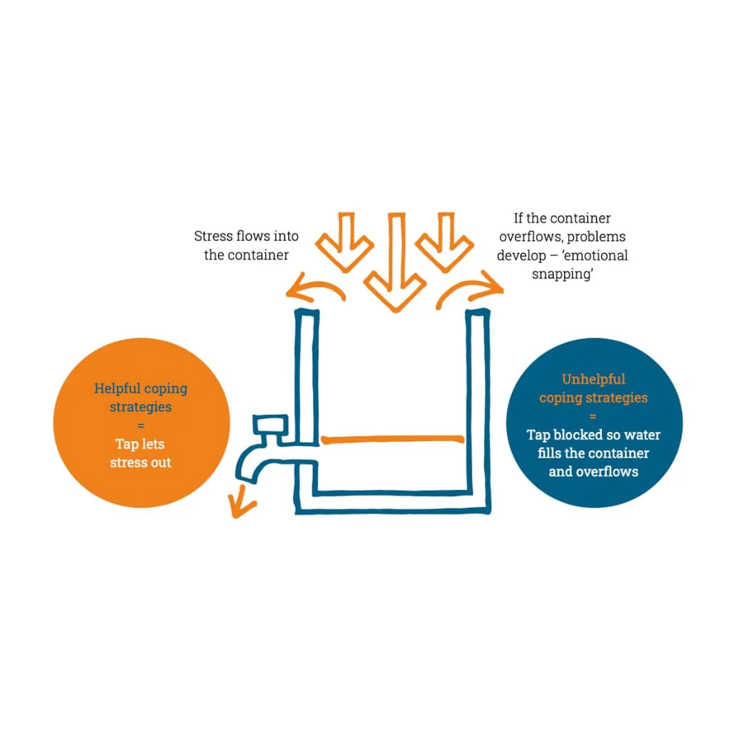 Stress bucket diagram