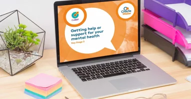 Laptop with CoRAY powerpoint on it Laptop with CoRAY powerpoint on it