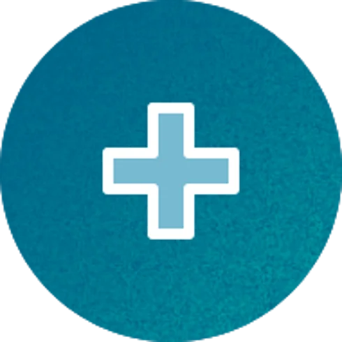 Plus icon Plus icon